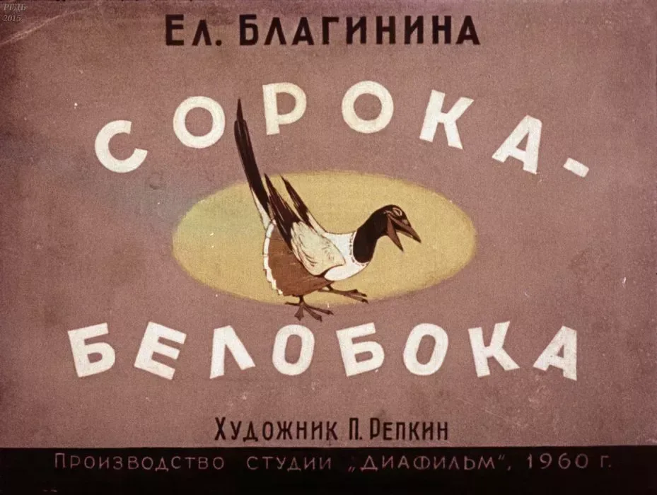 Сорока-белобока