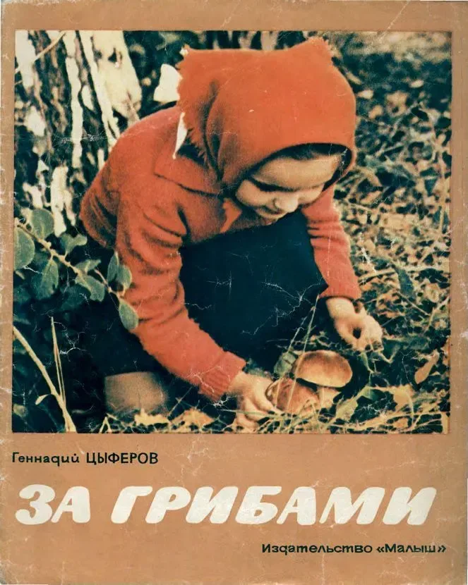 За грибами
