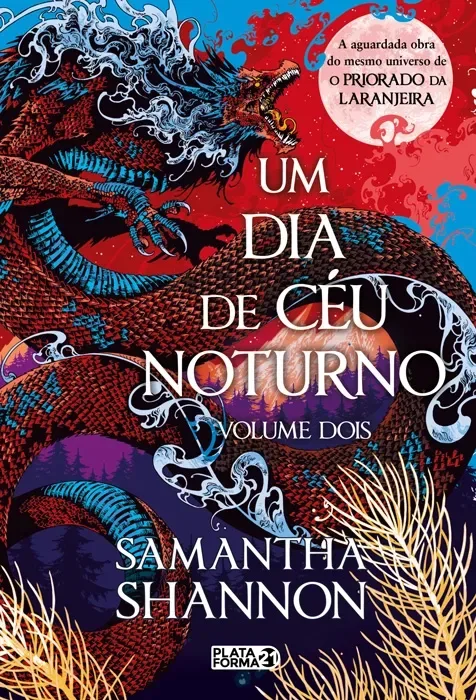 Um Dia de Céu Noturno
