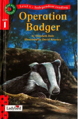 Operation Badger