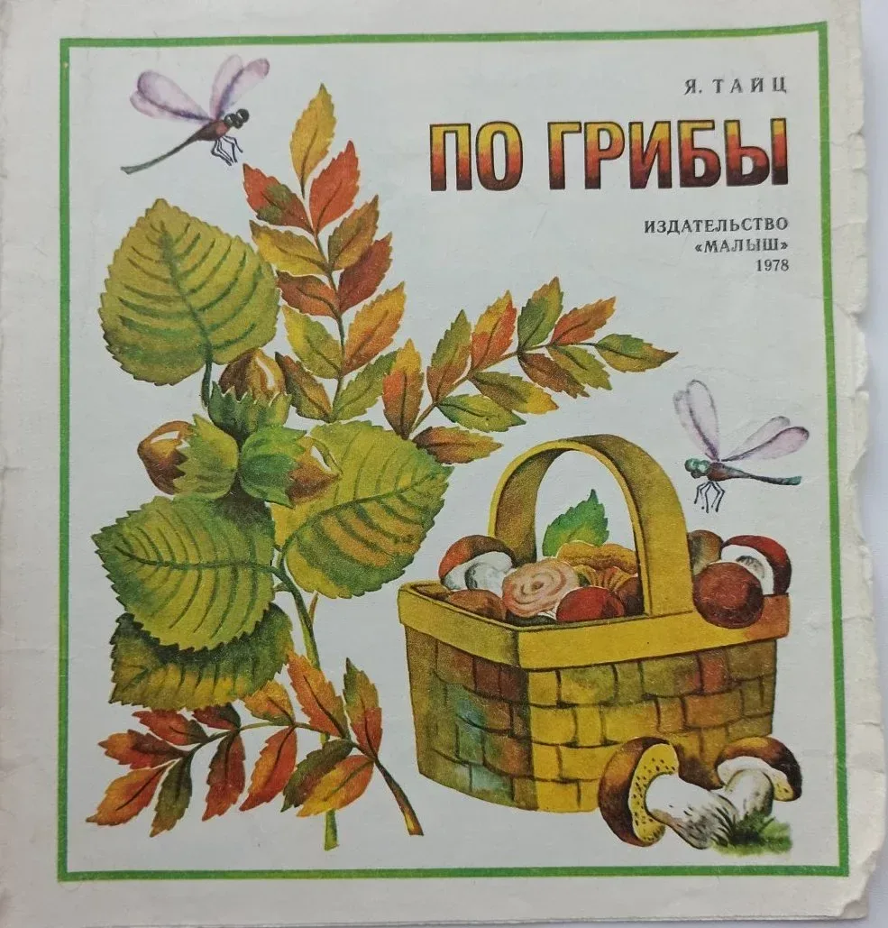 По грибы
