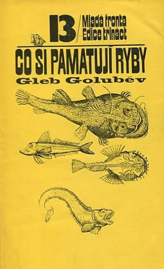 Co si pamatují ryby