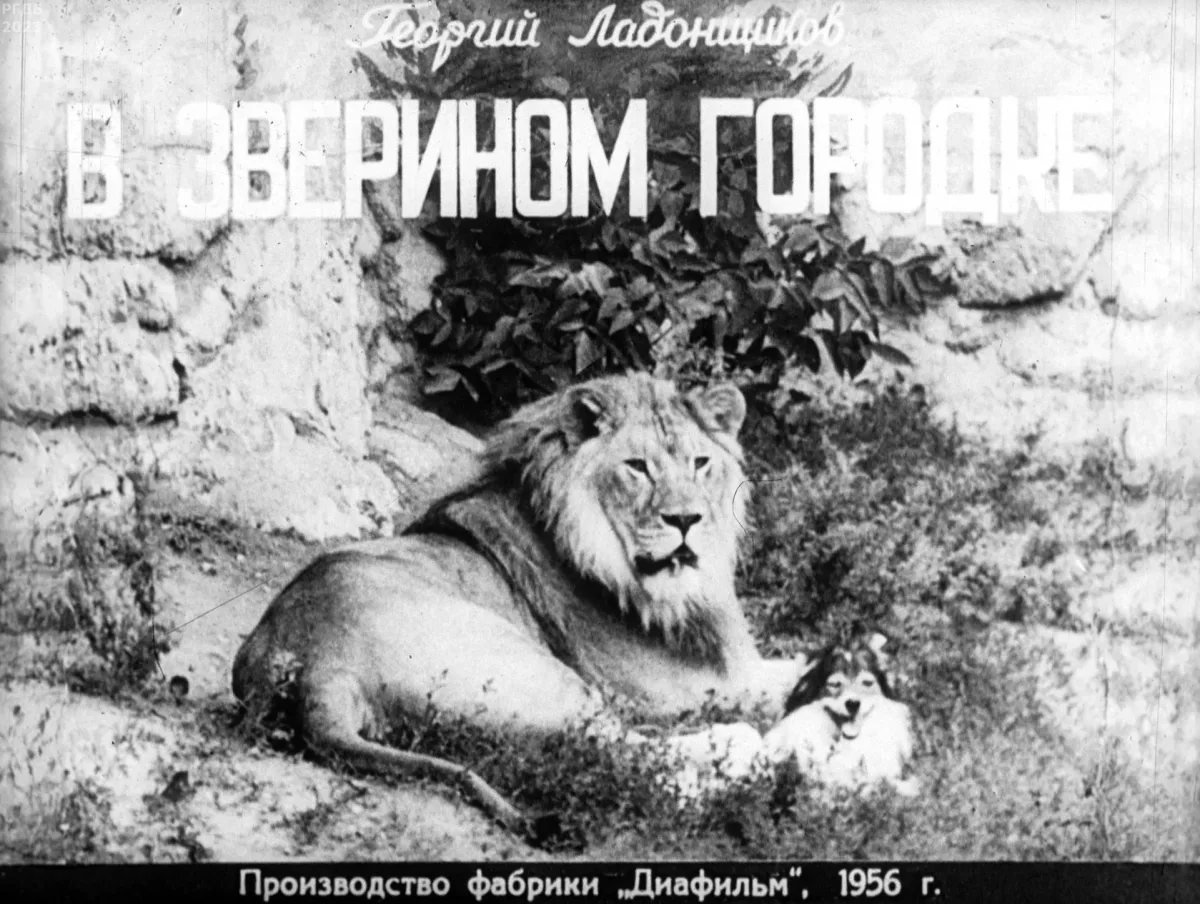 В зверином городке