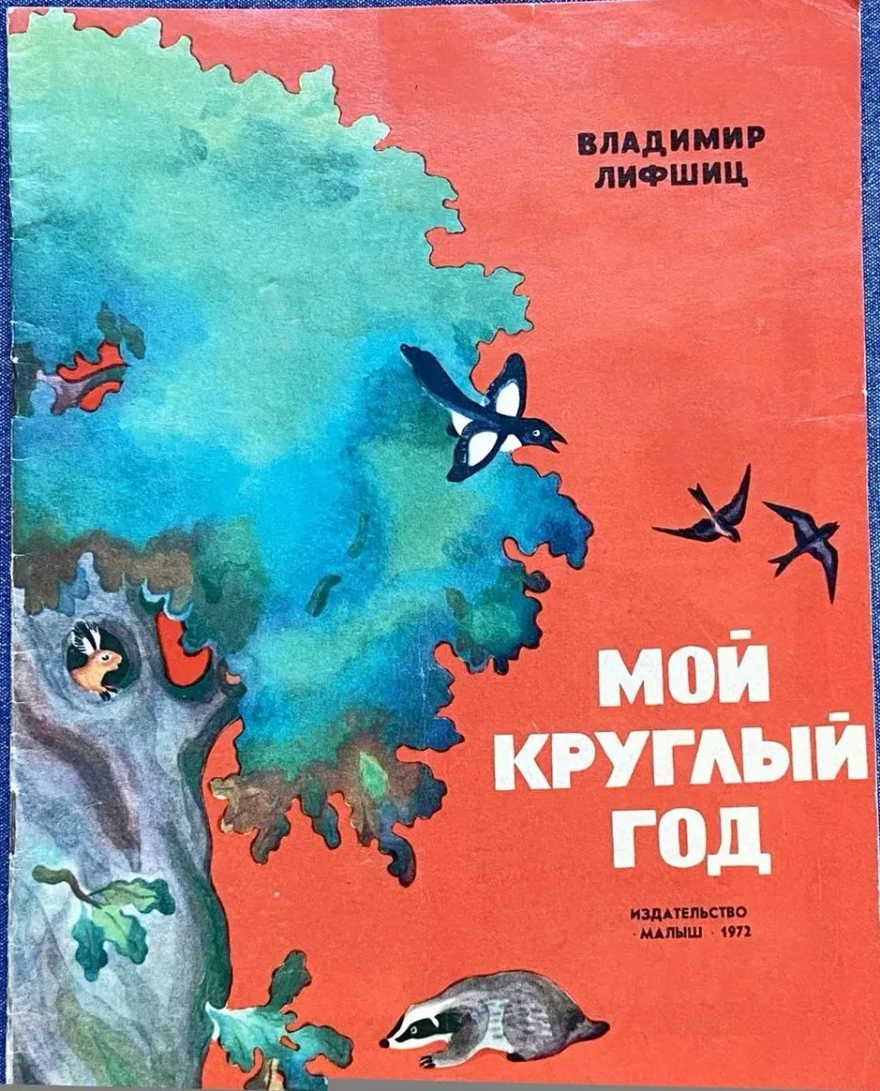 Мой круглый год