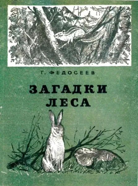 Загадки леса
