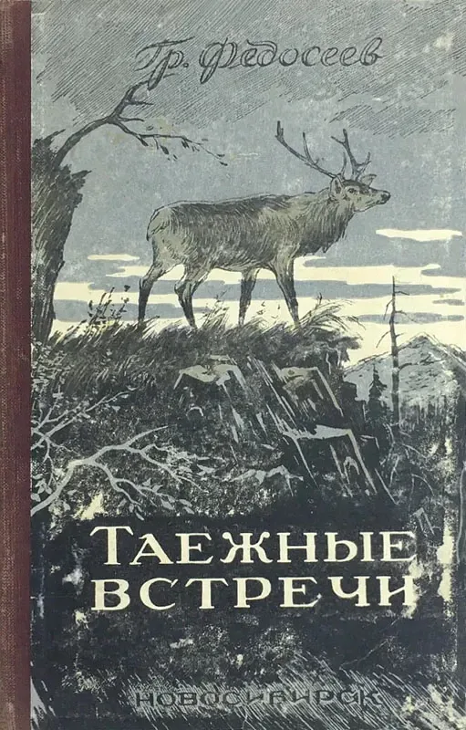 Таежные встречи