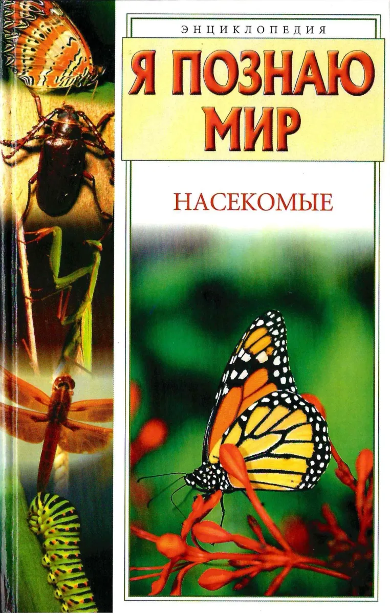 Насекомые