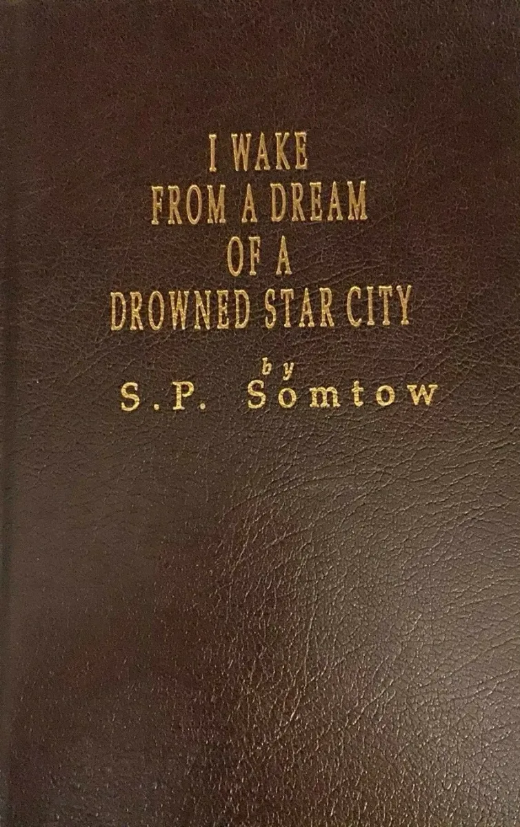 I Wake from a Dream of a Drowned Star City