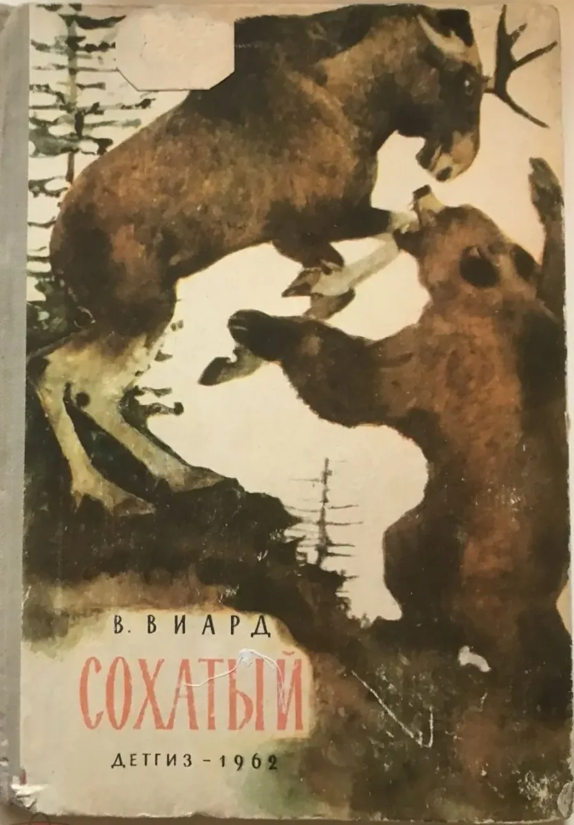 Сохатый