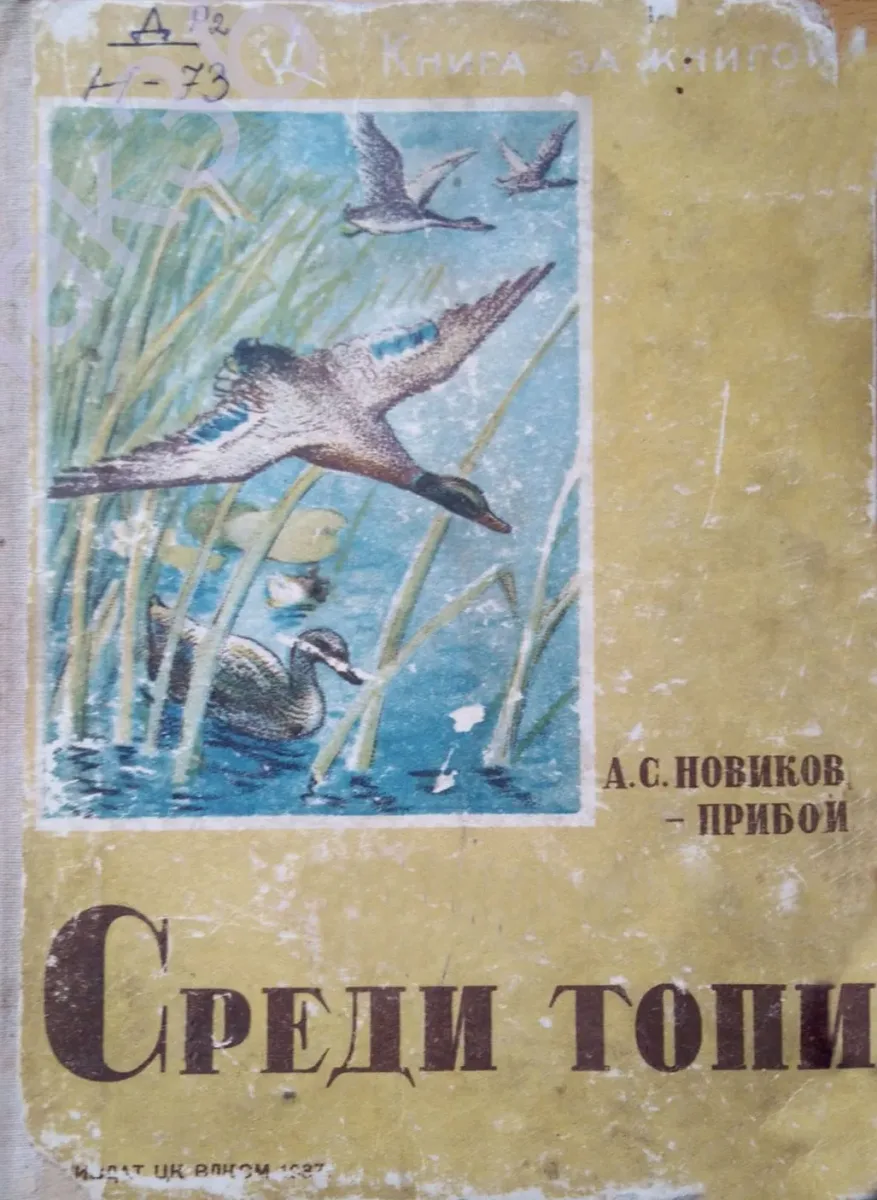 Среди топи