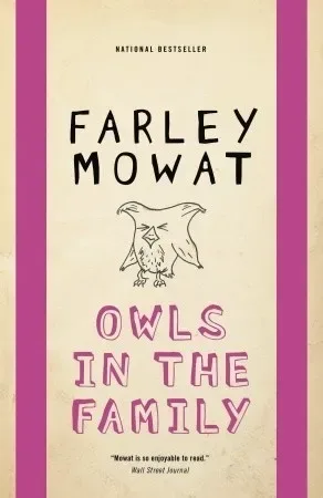 Owls in the Family
