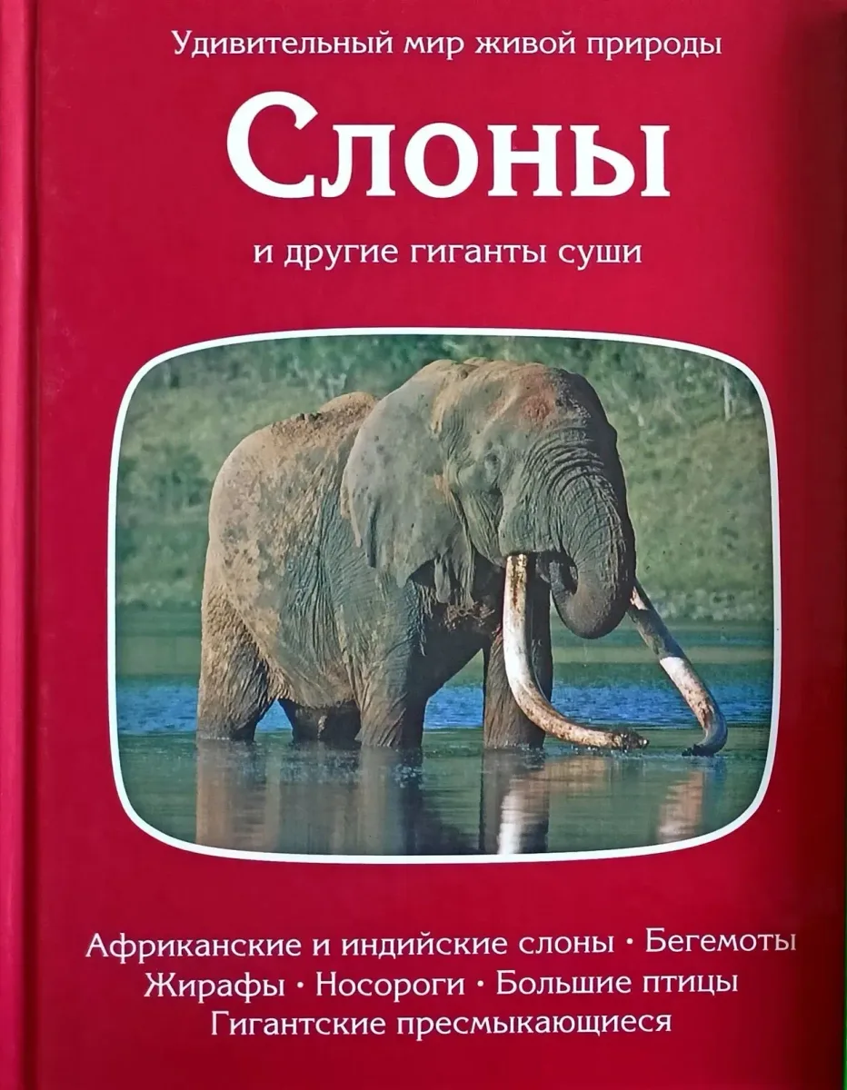 Слоны и другие гиганты суши