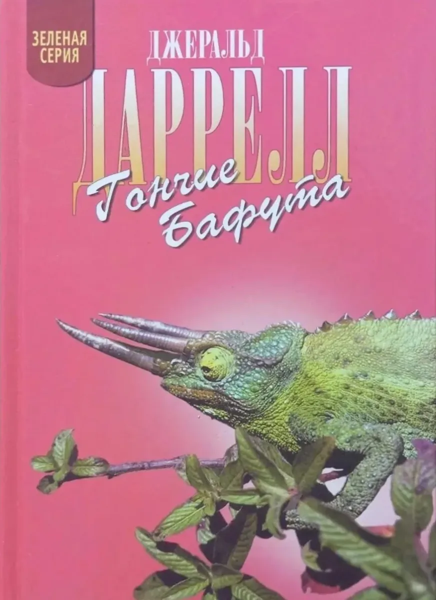 Гончие Бафута