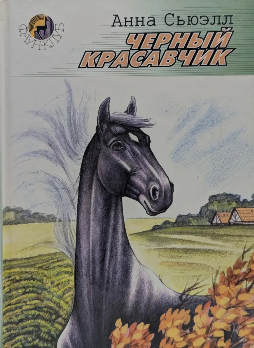 Черный Красавчик