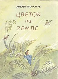 Цветок на земле