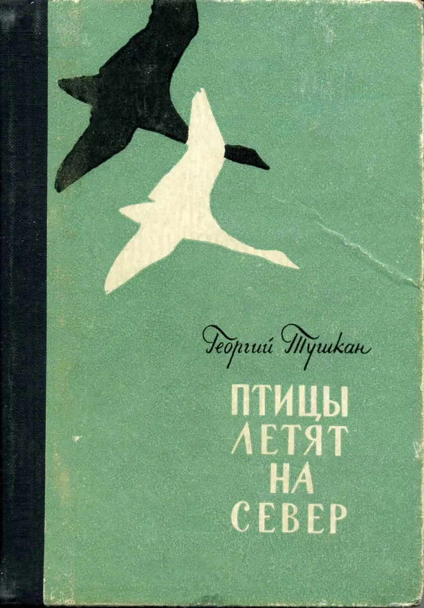 Птицы летят на север