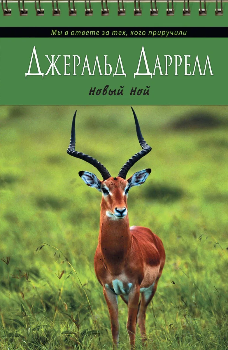 Новый Ной