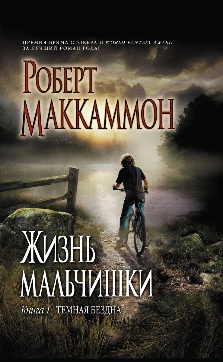 Жизнь мальчишки. Книга 1. Темная бездна