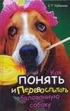 Как понять и перевоспитать балованную собаку