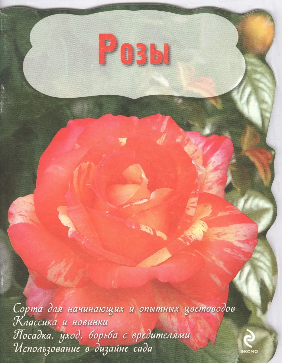 Розы