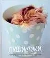 Пушистики, или Путеводитель по счастливому миру котят