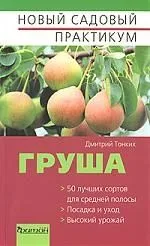 Груша