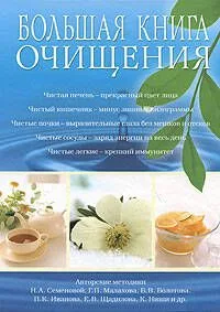 Большая книга очищения