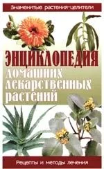 Энциклопедия домашних лекарственных растений: Рецепты и методы лечения