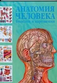 Анатомия человека. Болезни и нарушения
