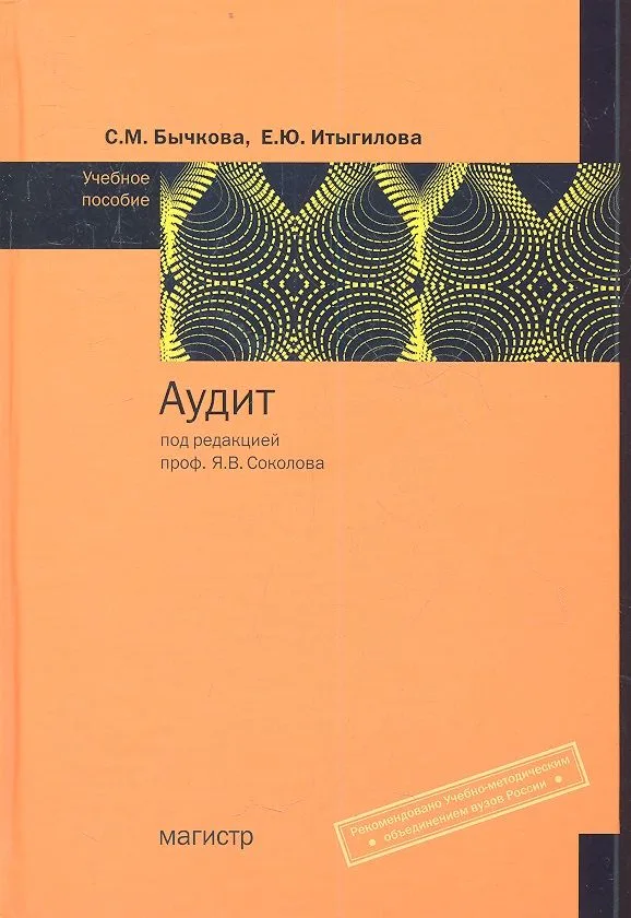 Аудит Уч. пос. (Бычкова)