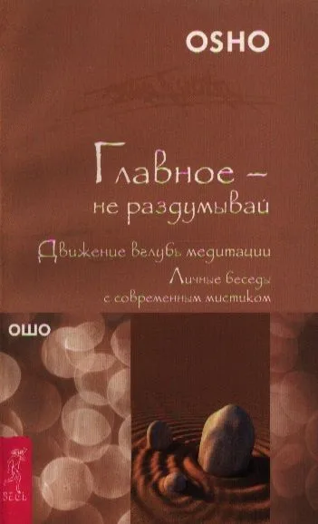 Главное - не раздумывай. Движение вглубь медитации. Личные беседы с современным мистиком (1624)