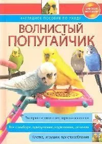 Волнистый попугайчик: наглядное пособие по уходу