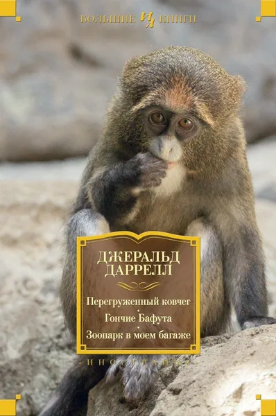 Перегруженный ковчег