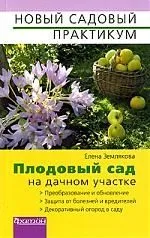Плодовый сад на дачном участке