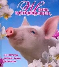 Жизнь в розовом цвете, или Почему хорошо быть девочкой