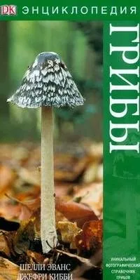 Грибы