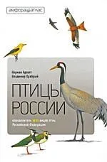 Птицы России: Справочник-определитель