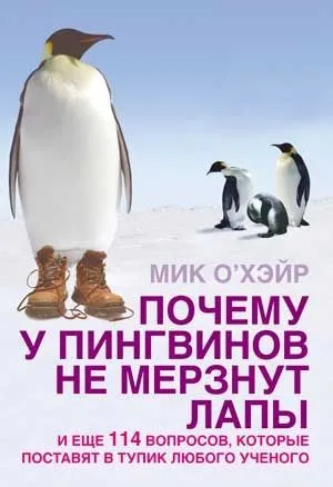 Почему у пингвинов не мерзнут лапы?