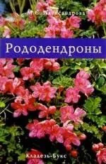 Рододендроны