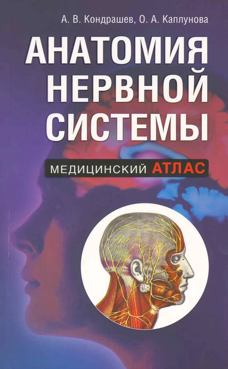 Анатомия нервной системы