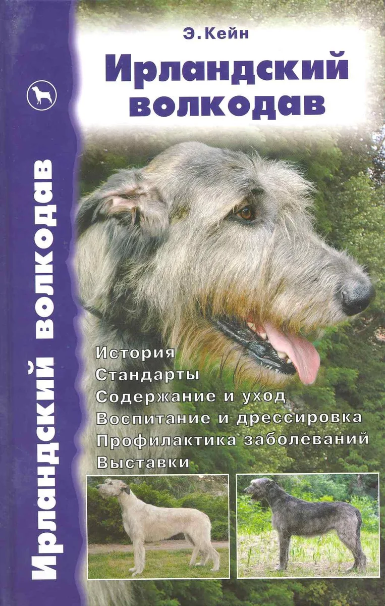 Аквар.Ирланд.волкодав