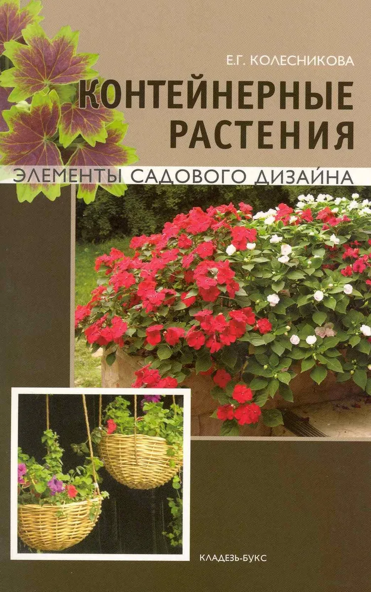 Контейнерные растения.