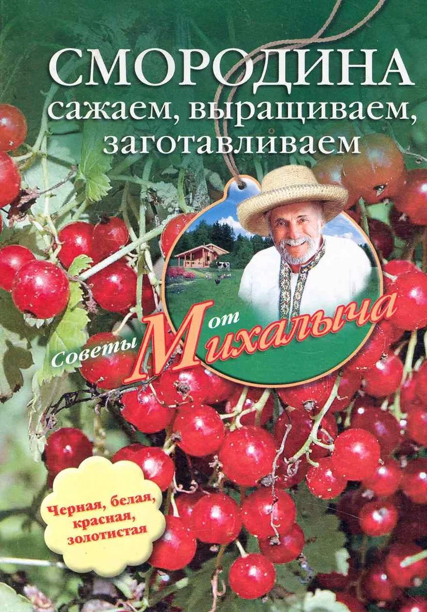 Смородина. Сажаем, выращиваем, заготавливаем