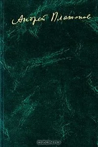 Записные книжки. Материалы к биографии