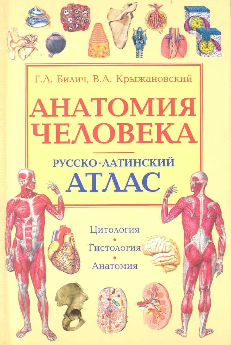 Анатомия человека. Русско-латинский атлас. Цитология. Гистология. Анатомия / (2 изд). Билич Г., Крыжановский В. (Оникс)