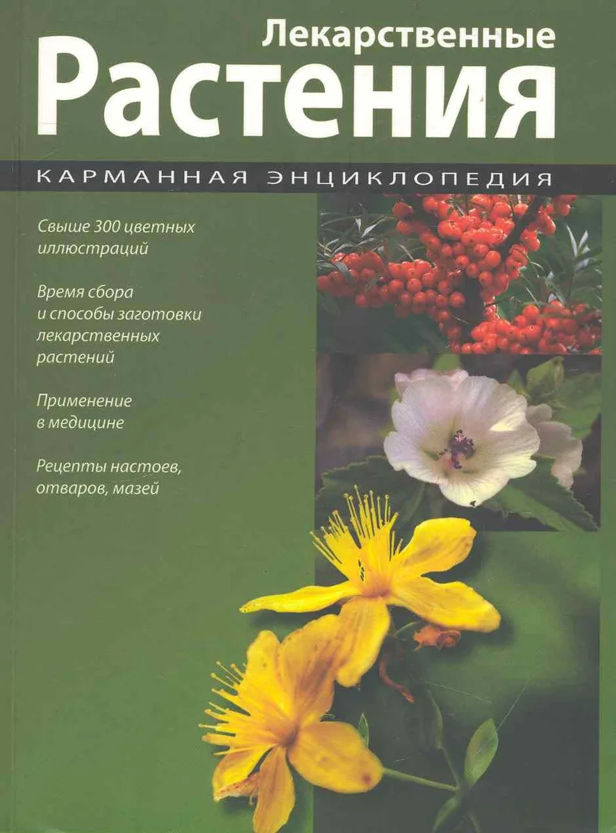 Лекарственные растения : карманная энциклопедия