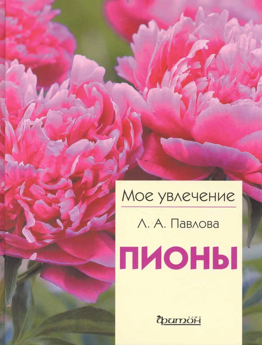 Пионы