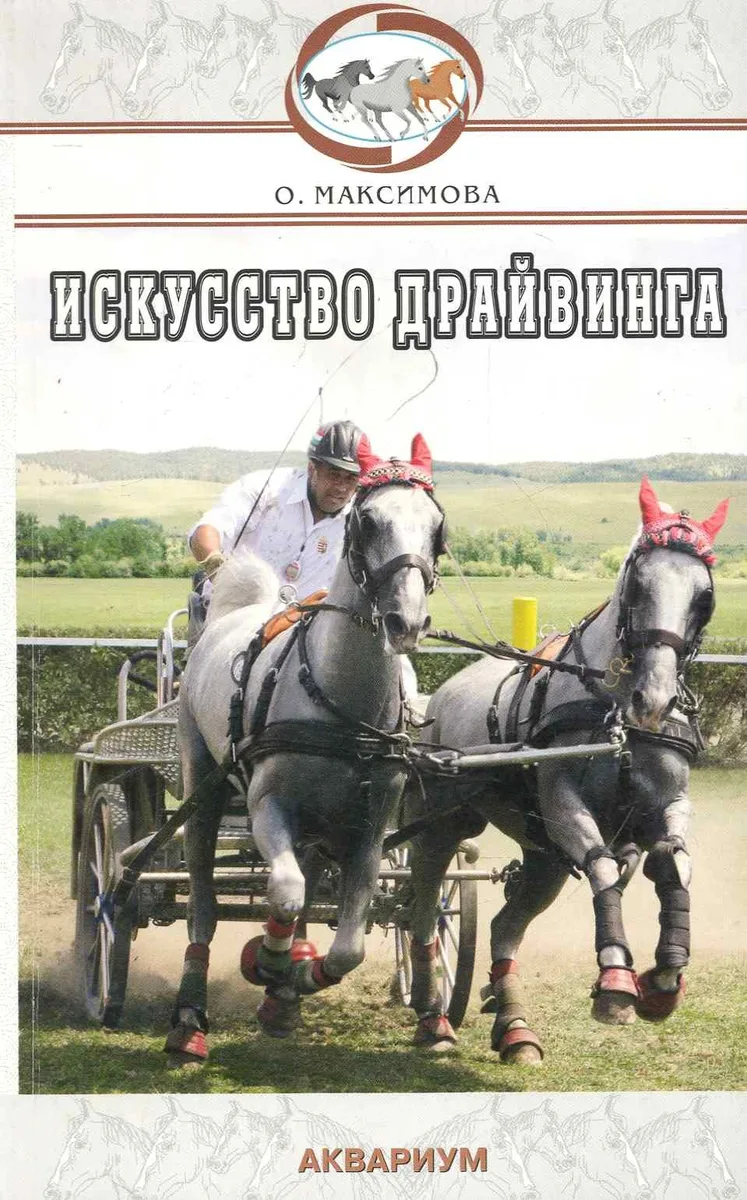 Аквар.Искусство драйвинга