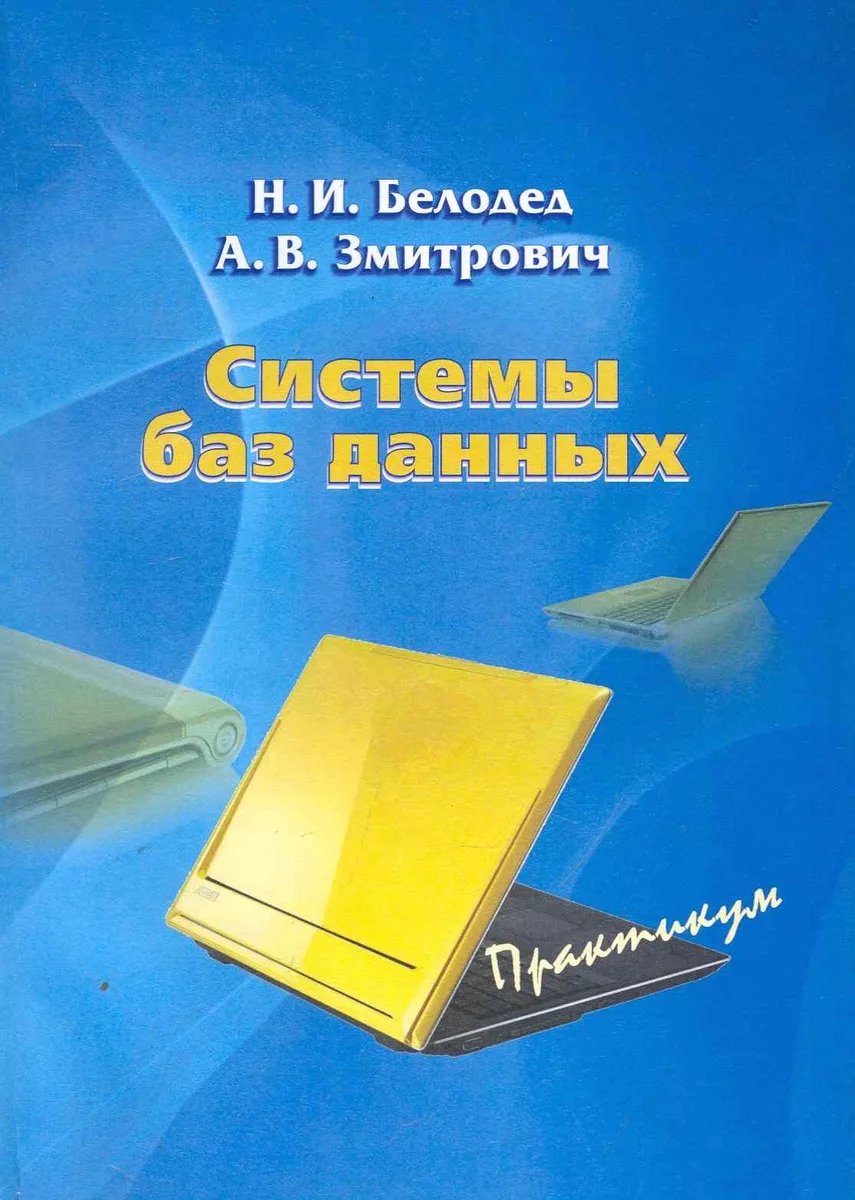 Системы баз данных: практикум / (мягк). Белодед Н., Змитрович А., Обернихина И. и др. (Юрайт)