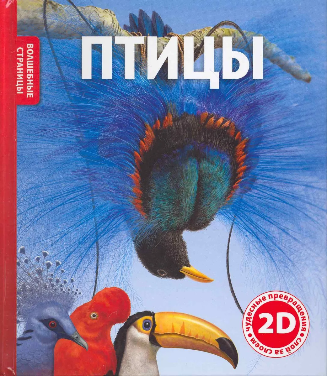 Птицы